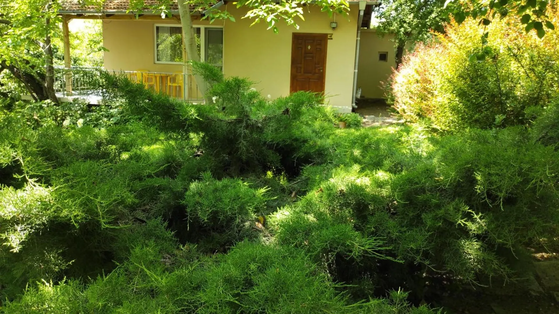 A Charming And Peaceful Summer Villa 400M From The Sea Varna
